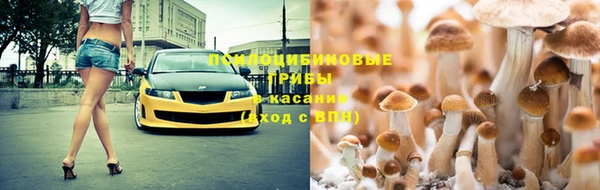 винт Сосновка