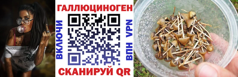 Купить где  Барнаул  Псилоцибиновые грибы Cubensis 